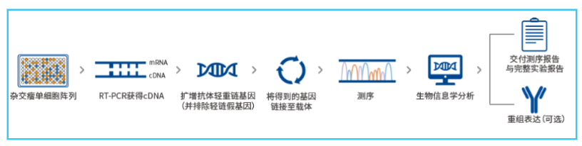 QQ截圖20221010095521.png