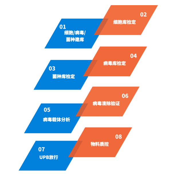 蝴蝶寶貝.png